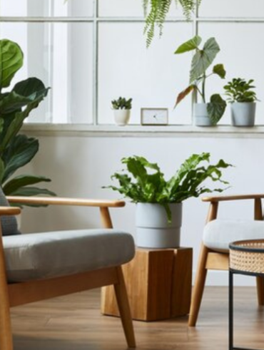 Conseils pour un espace de vie confortable et serein