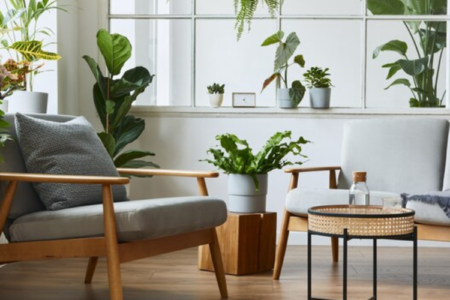 Conseils pour un espace de vie confortable et serein