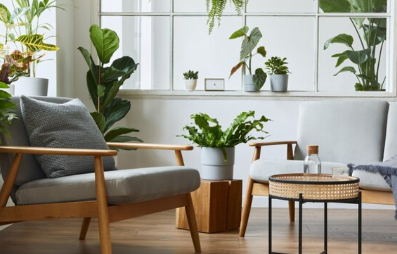 Conseils pour un espace de vie confortable et serein